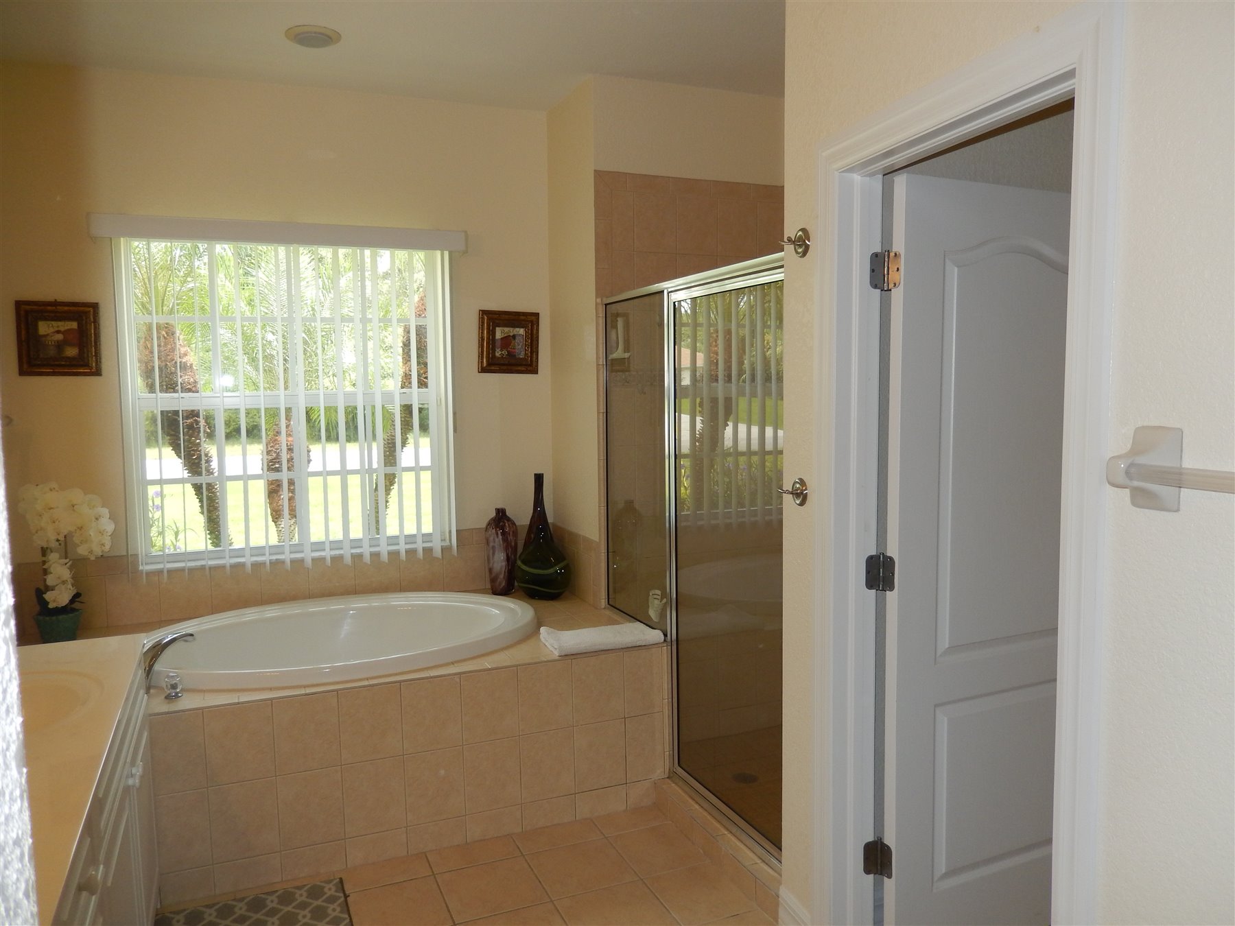 Primary bathroom tub and shower
